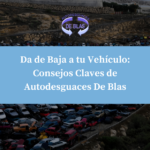 dar-baja-auto